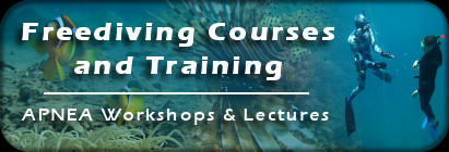 Freediving Courses & Training